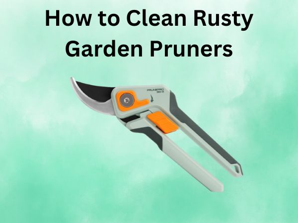 How to Clean Rusty Garden Pruners