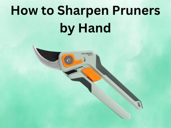 How to Sharpen Pruners by Hand