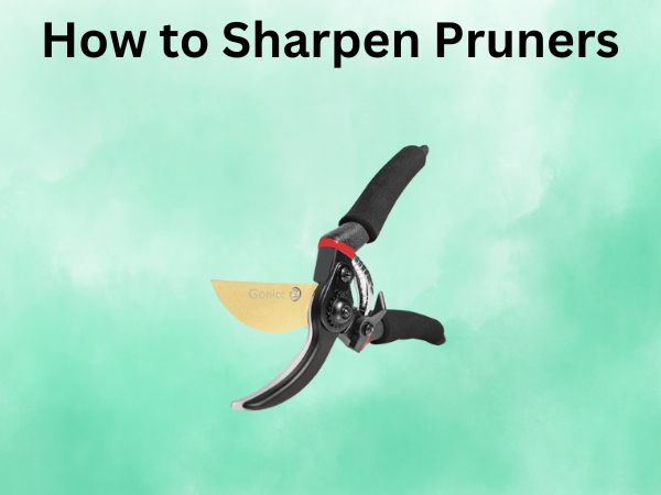 How to Sharpen Pruners