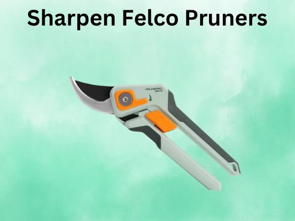 Sharpen Felco Pruners
