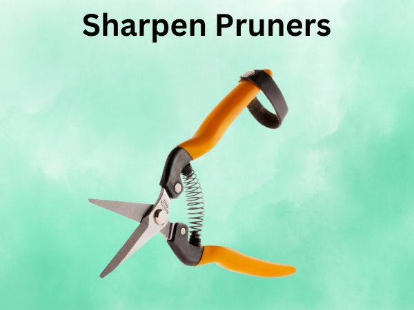 sharpen pruners