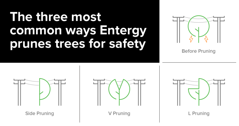 How Do Tree Pruners Work