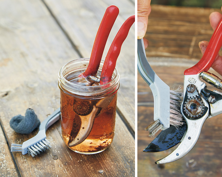 How to Clean Rust off Felco Pruners
