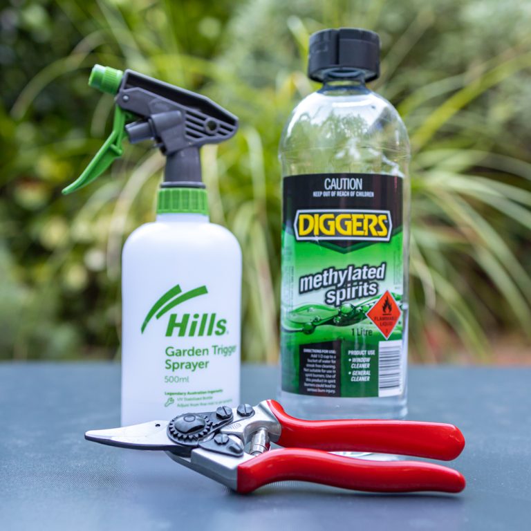 How to Disinfect Garden Pruners