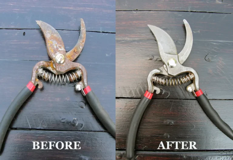 How to Sharpen Garden Shears