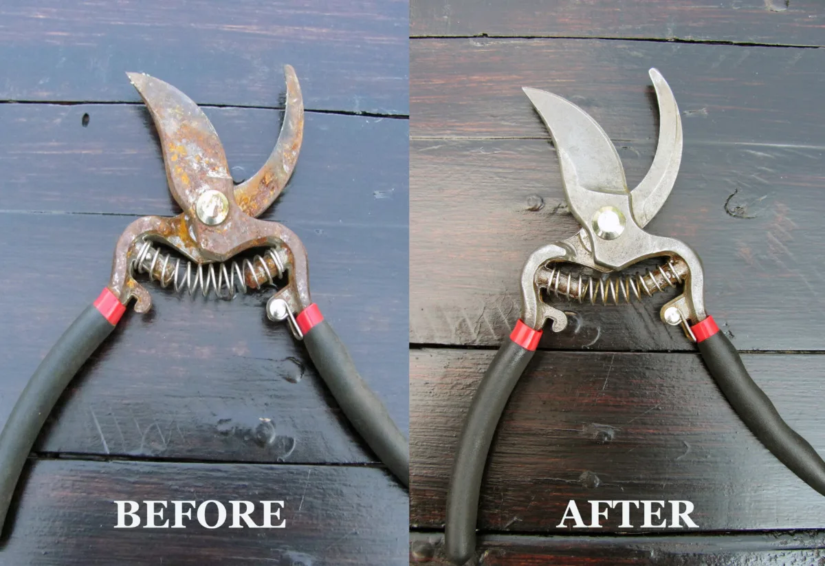 How to Sharpen Garden Shears