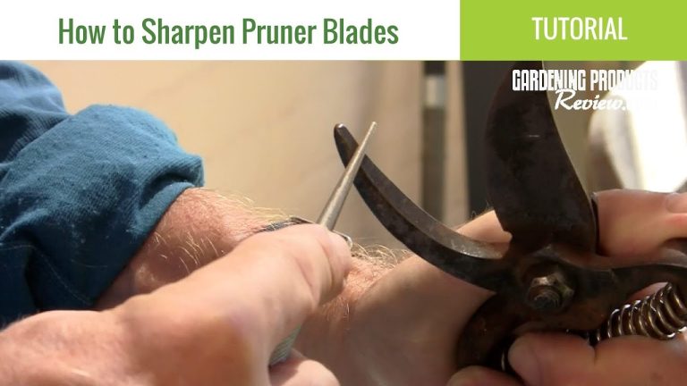 How to Sharpen Pruners And Loppers