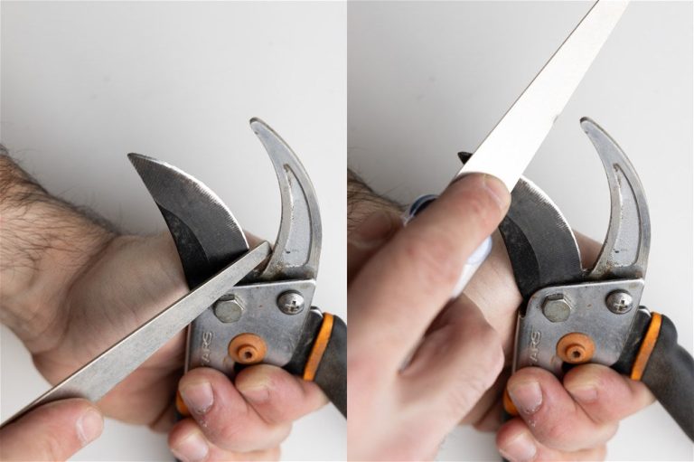 How to Sharpen Pruners With a File