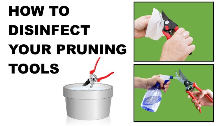 How to Sterilize Pruners
