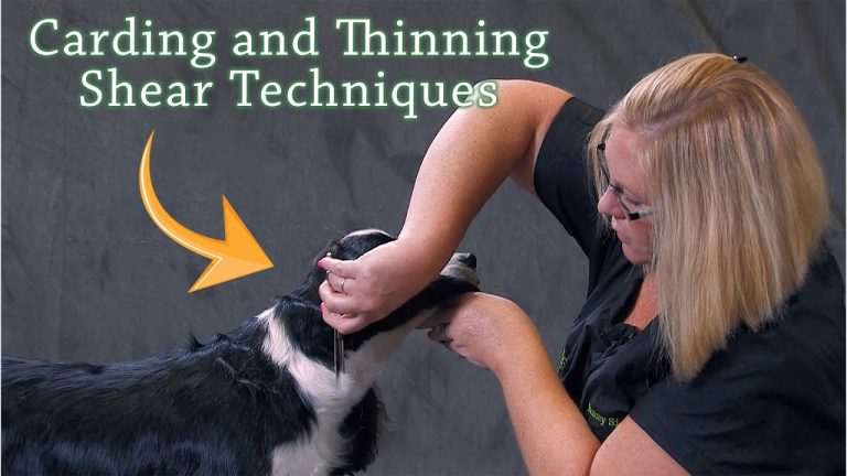 How to Use Thinning Shears on a Dog