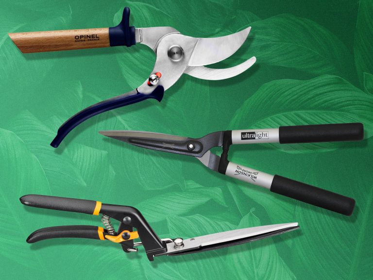 Best Pruning Shears for Topiary: Top Picks for Perfectly Shaped Gardens