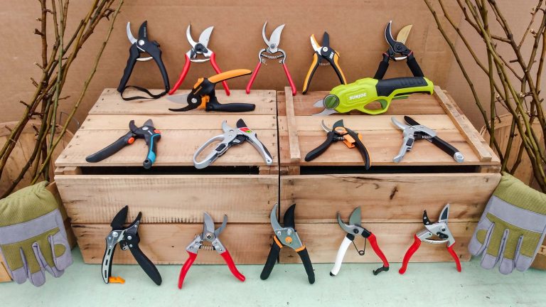 Best Pruning Shears for Trees: Top Picks for Effortless Pruning