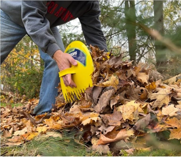 Best Rake for Garden: Top Picks for Effortless Yard Cleanup