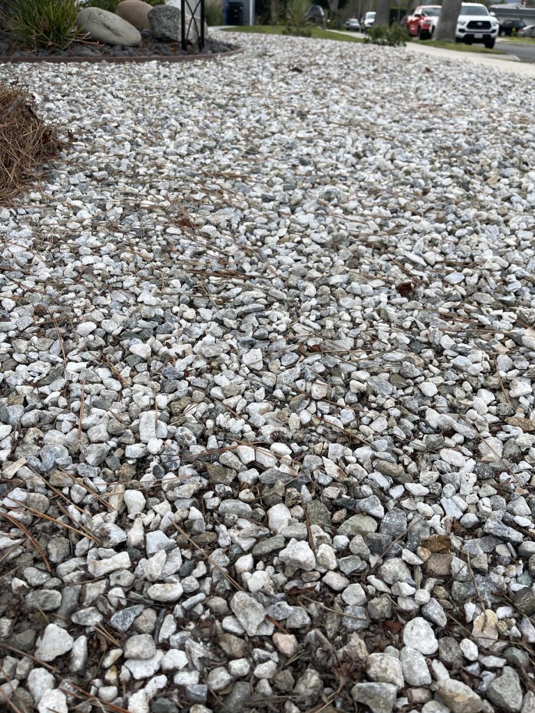 Best Rake for Landscape Rocks: Top Picks for Perfect Garden Clean-Up