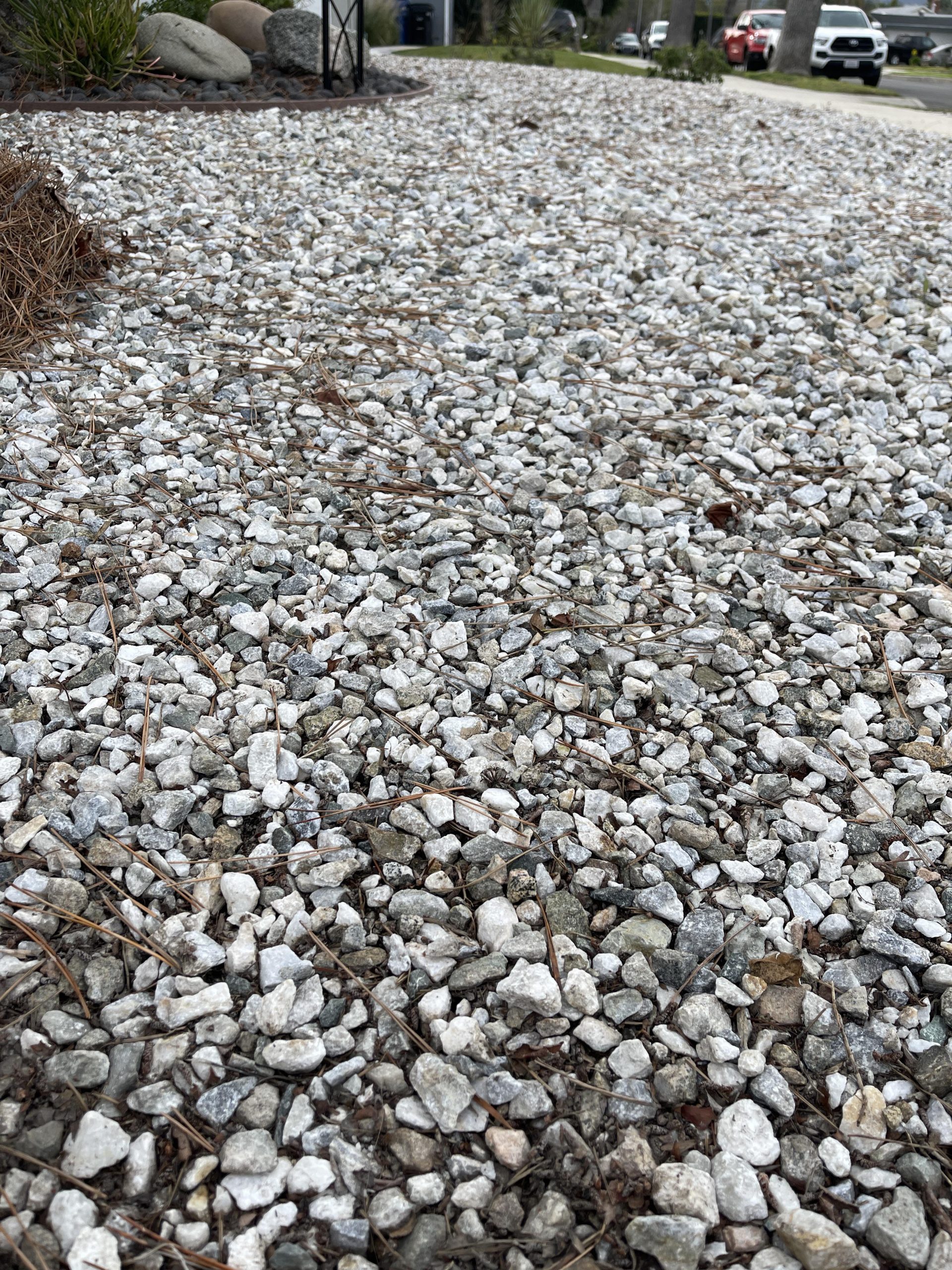 Best Rake for Landscape Rocks: Top Picks for Perfect Garden Clean-Up