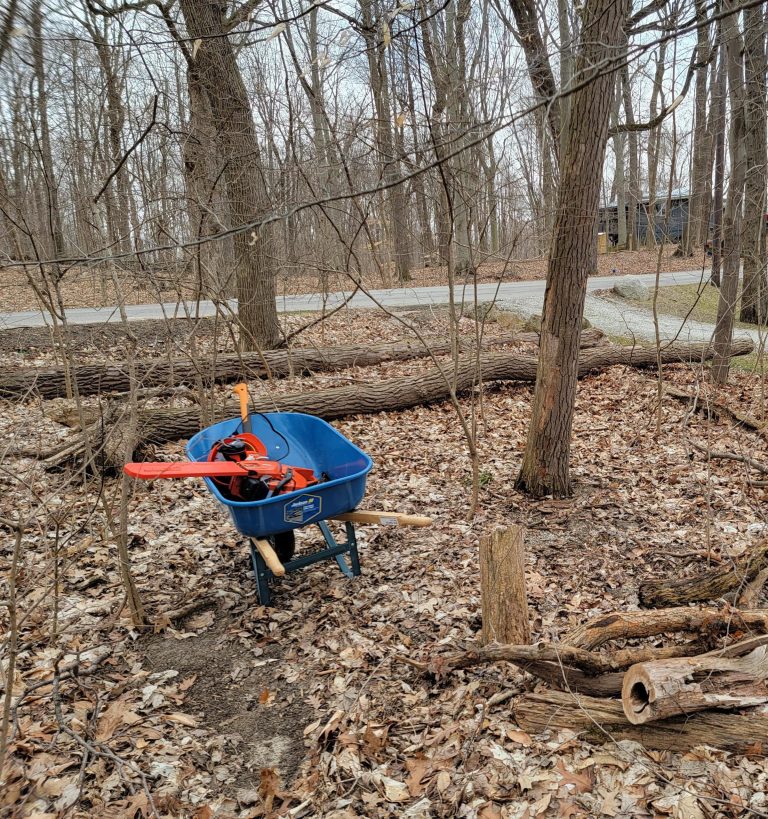 Best Rake for Leaves And Sticks: Top Picks for Easy Yard Cleanup