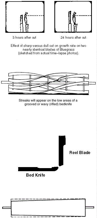 How to Sharpen Reel Lawn Mower Blades