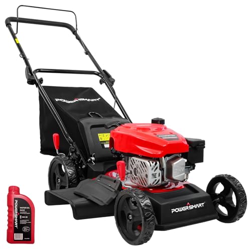 Best Lawn Mower for 1 3 Acre