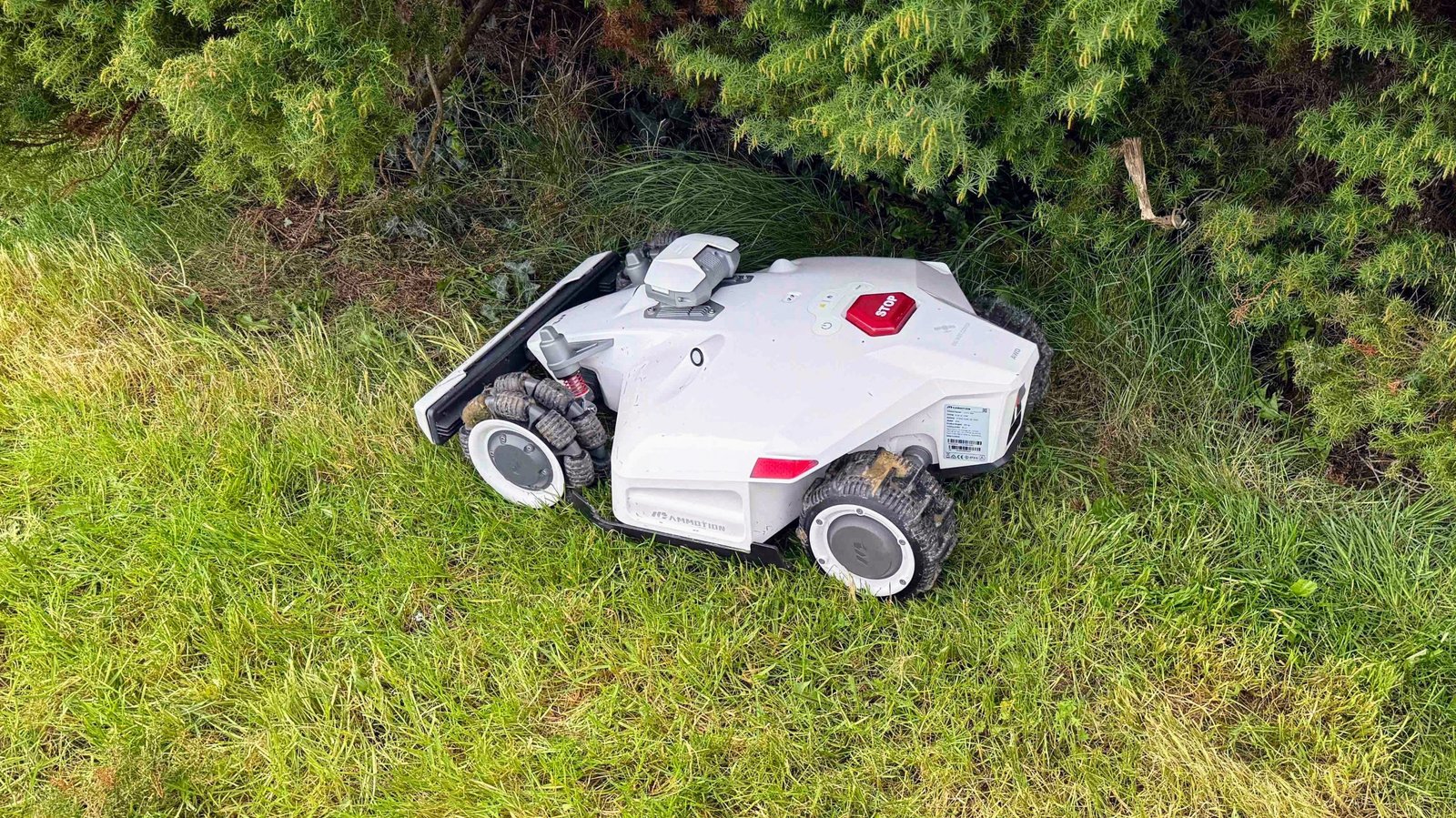 Best Lawn Mower for Heavy Grass: Top Picks for Tough Lawns