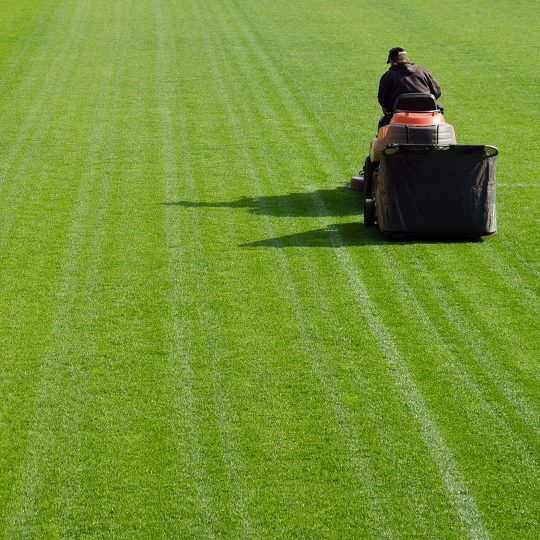 Best Mower for Uneven Lawns: Top Picks for Smooth Cuts