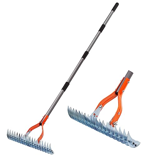 Best Rake for Soil