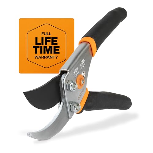Best Shears for Cutting Flowers