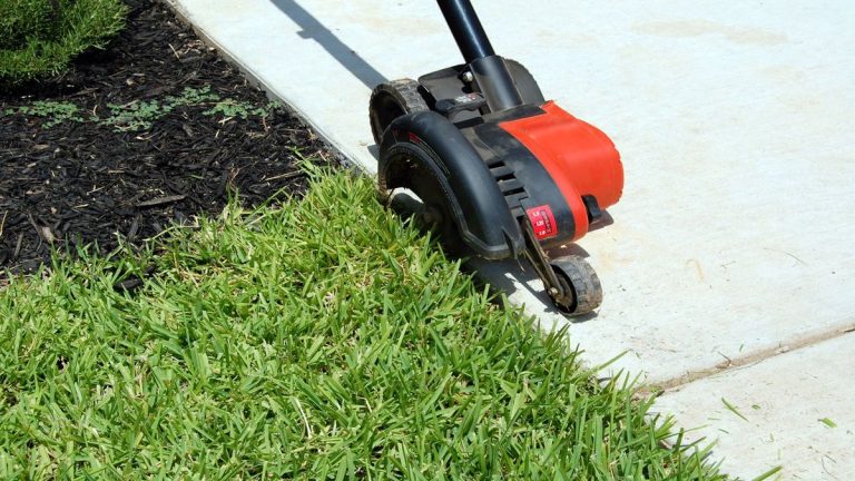 Best Shears for Grass Cutting: Top Picks for a Pristine Lawn