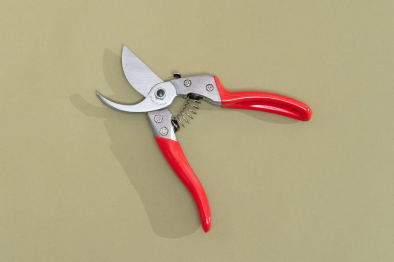 Best Shears for Pruning Roses: Top Picks for Perfect Cuts