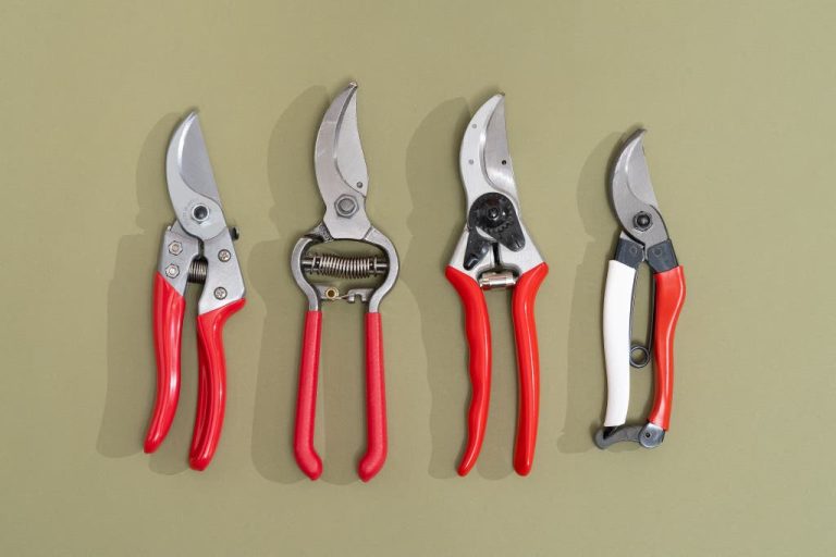 Best Shears for Pruning: Top Picks for Gardeners in 2023